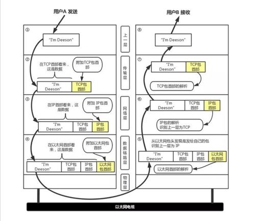計算機網絡基礎 網絡體系結構與計算機系統服務概述