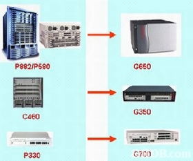 龍風褂的演變與現(xiàn)代網(wǎng)絡(luò)技術(shù)的跨界融合